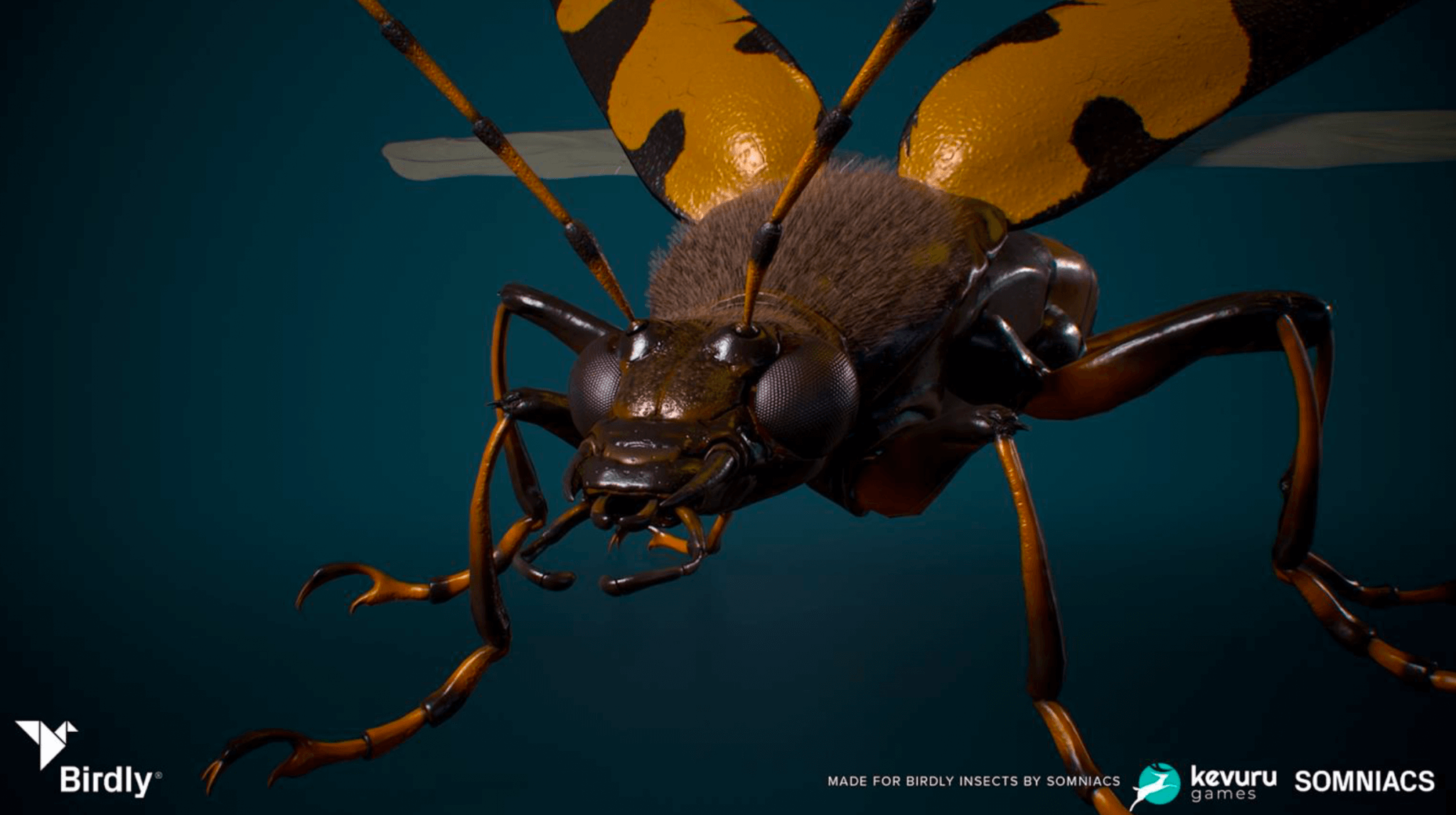 3D Animation