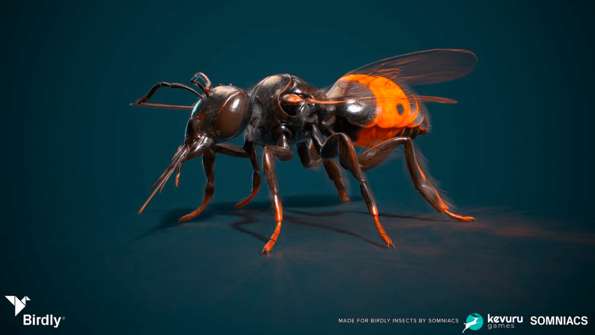 3D Animation