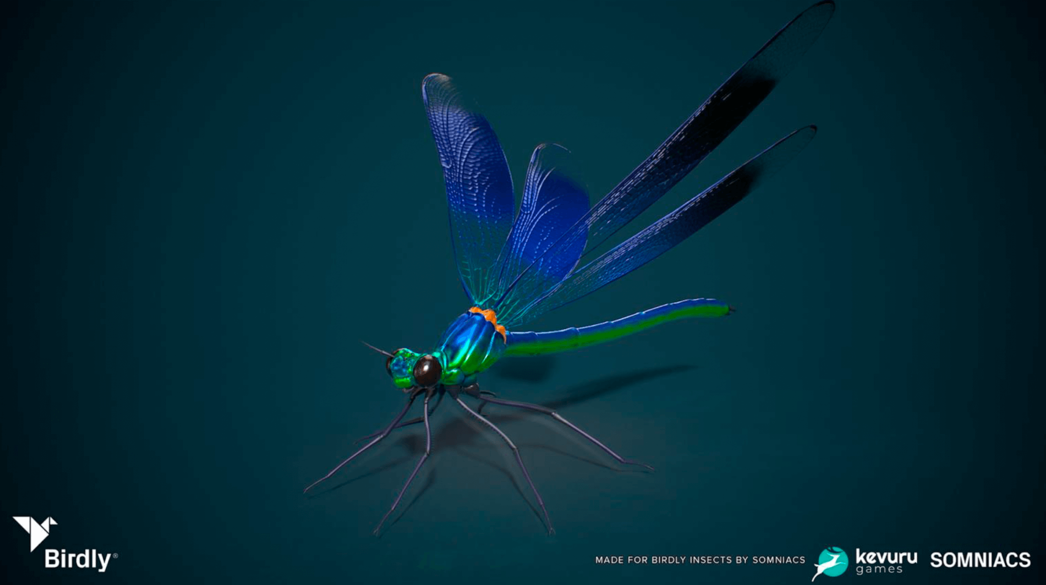 3D Animation
