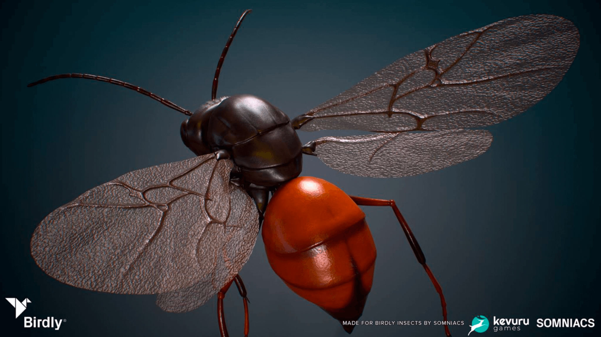 3D Animation